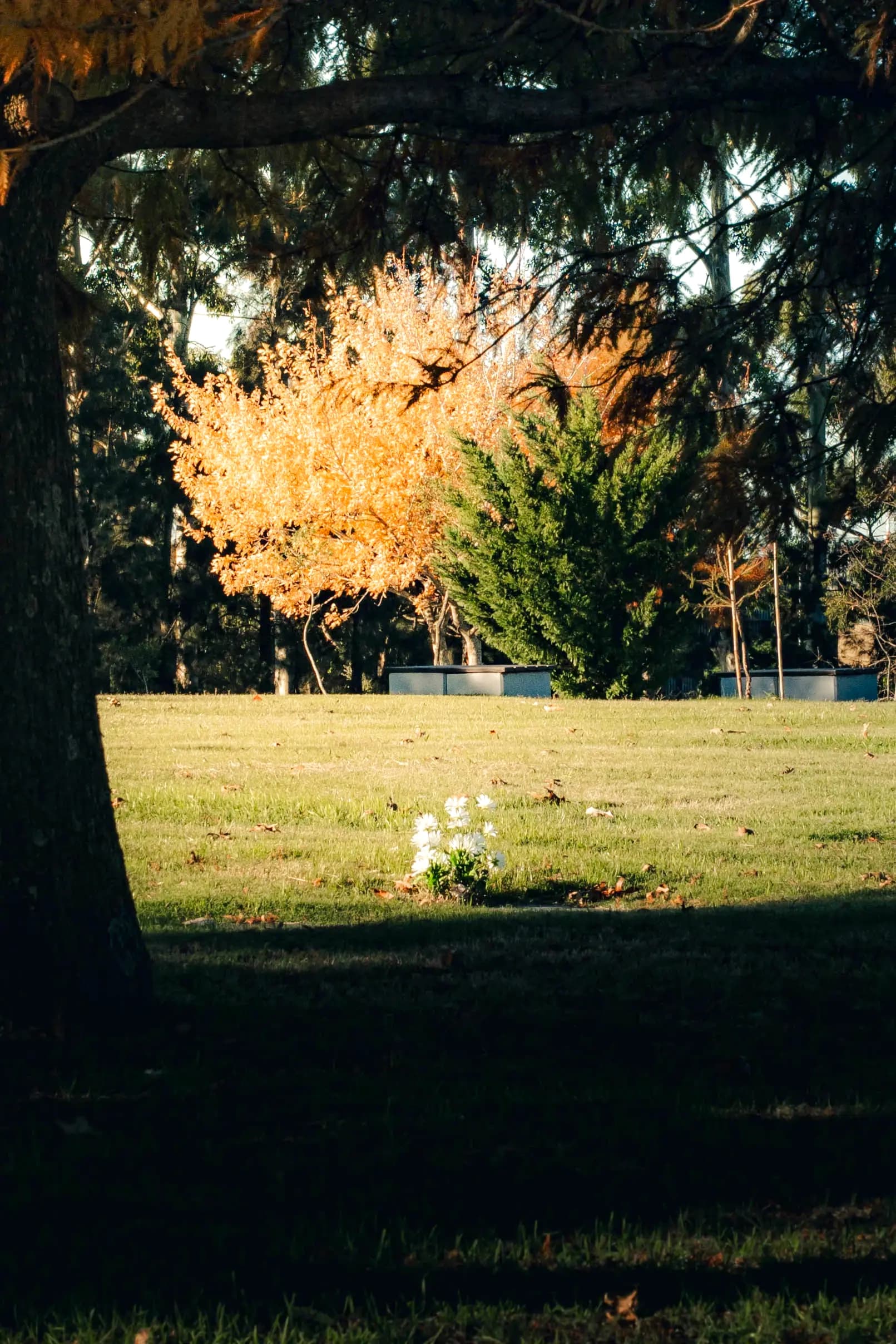 Instalaciones del parque