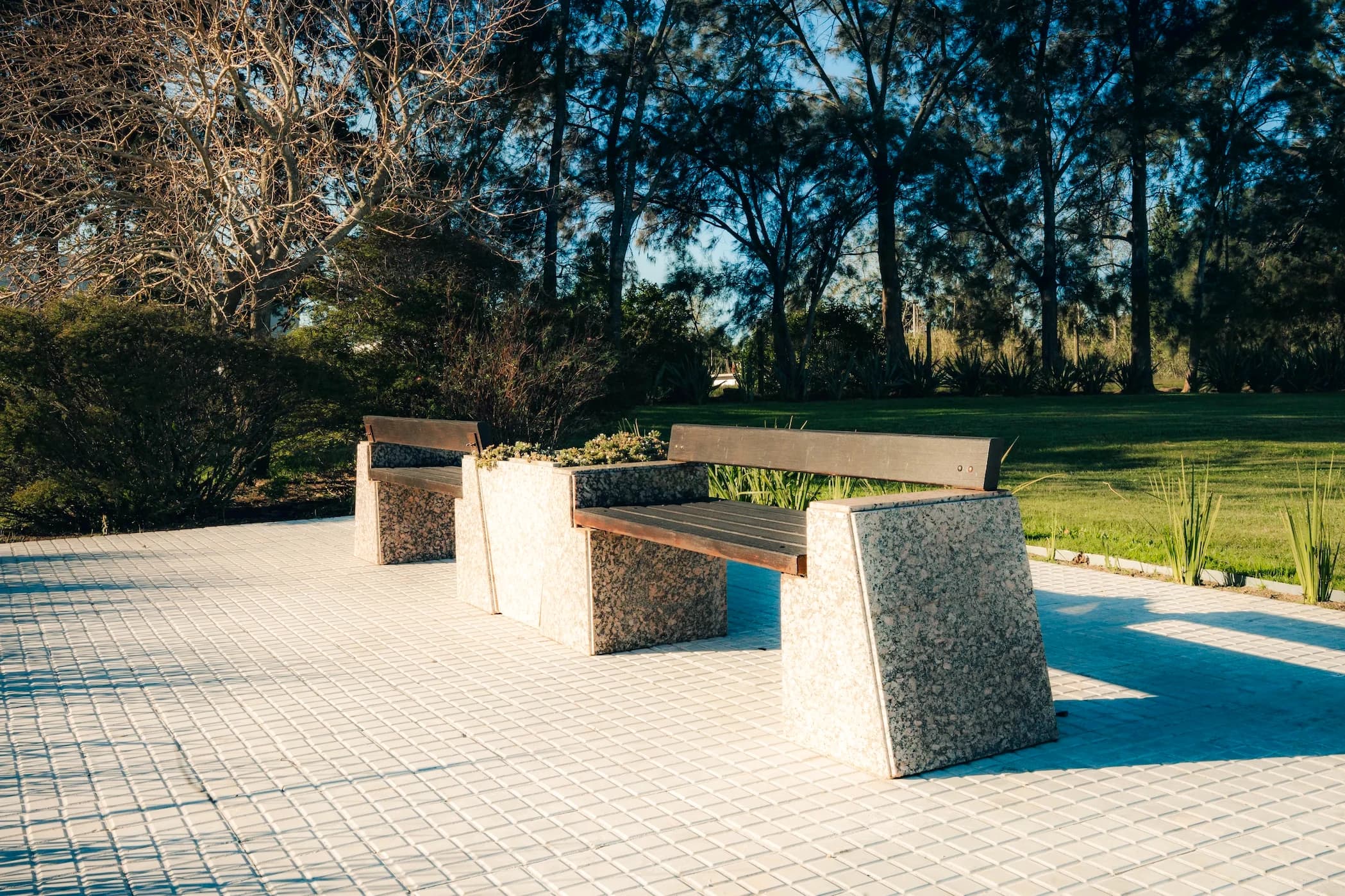 Vegetación del parque