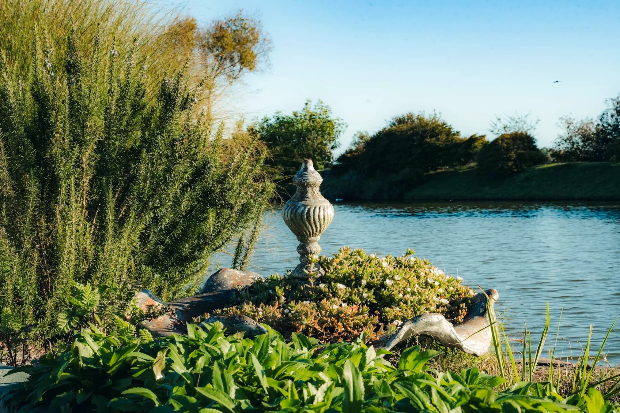 Detalle paisajístico